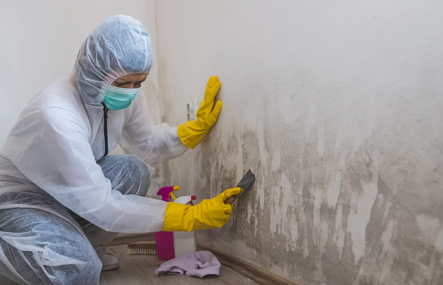 Steps of Professional Mold Remediation Process