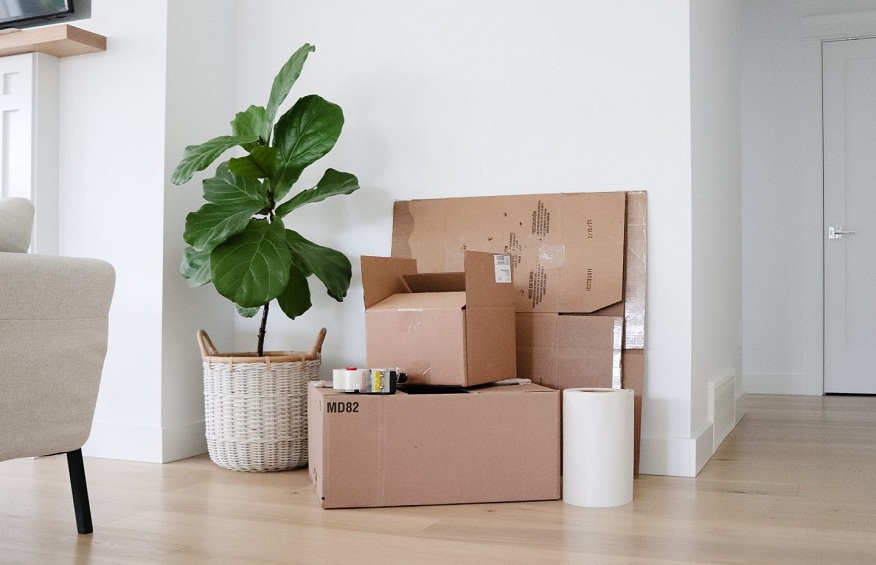 Packing Precision: A Guide to Efficient and Organized Moving
